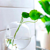 Jardinera de cristal para colgar en la pared