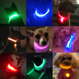 Collar LED luminoso para perros